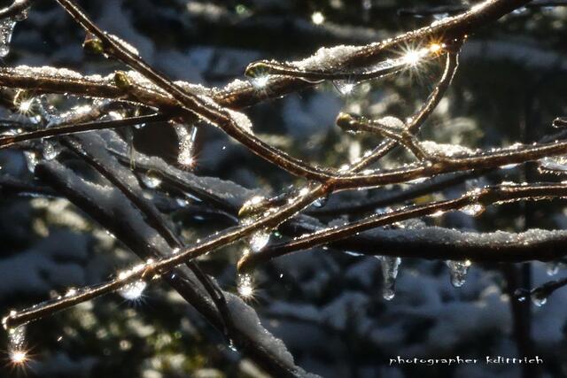 Swarovski Steinchen....
