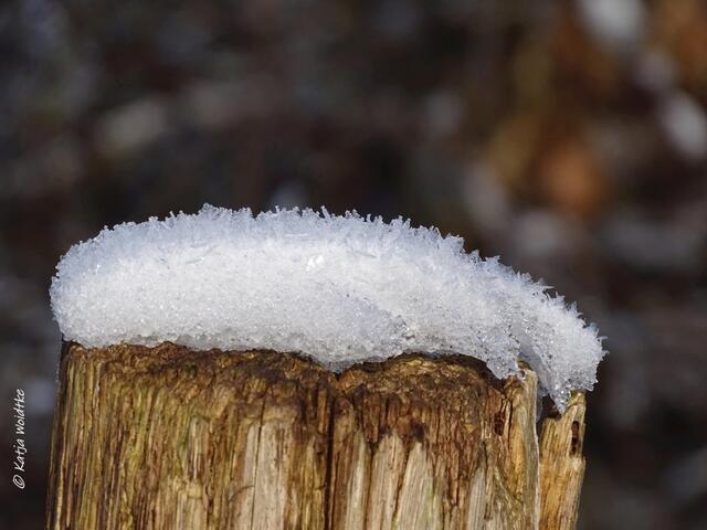 Winterwunderland in Kaltenweide (Foto: Katja Woidtke)