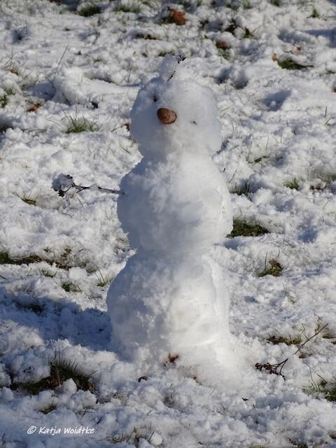 Winterwunderland in Kaltenweide - Schneemann (Foto: Katja Woidtke)