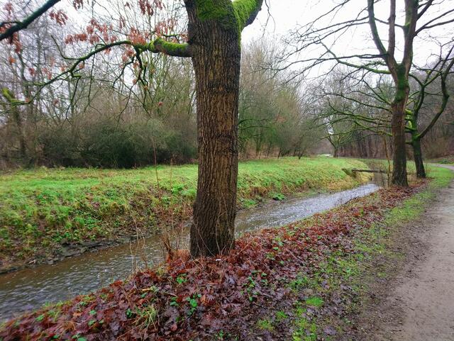 Auch an grauen Tagen ist es in der Natur schön.