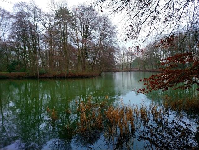 Ein Sonntagmorgen im Stadtpark Langenhagen