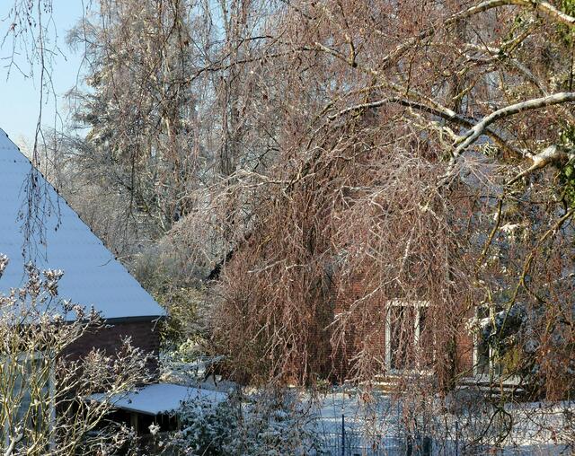 Ein wenig verzaubert wirken die Gärten in ihrem Winterkleid.