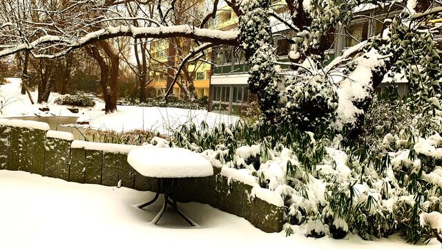 7. Februar 2021. Es schneit! Bleibt gesund!