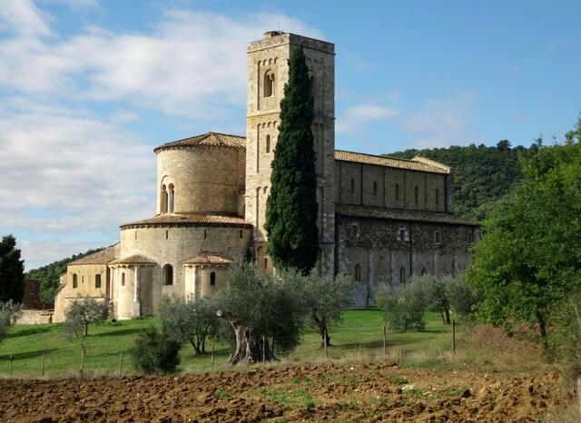 Abbazzia di Sant'Antimo, Toskana - 10/2015 - im Vordergrund Olivenbäume