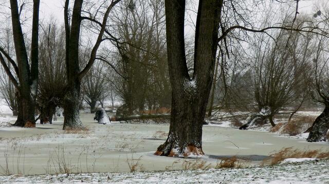 Mühlenbach im Februar mit Schnee