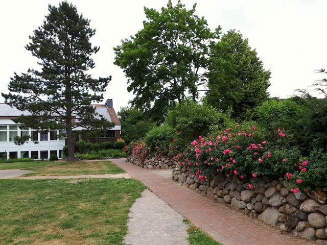 Sommer am Gemeindehaus St. Petrus, Buchholz