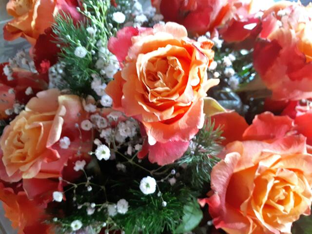 Geburtstagsrosengrüße 2019