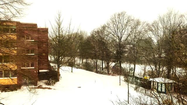 7. Februar 2021. Es schneit! Bleibt gesund!