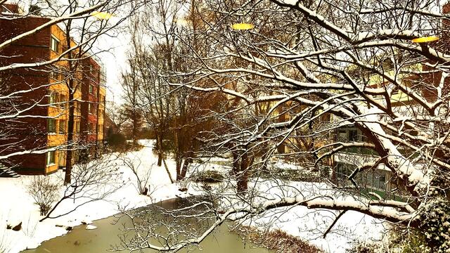 7. Februar 2021. Es schneit! Bleibt gesund!