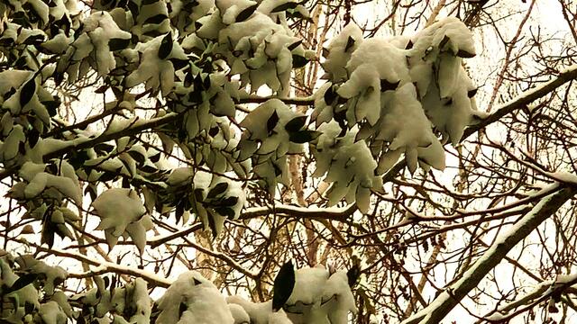 7. Februar 2021. Es schneit! Bleibt gesund!