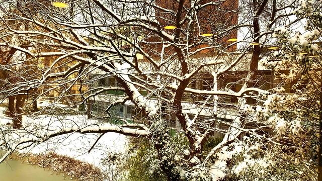 7. Februar 2021. Es schneit! Bleibt gesund!