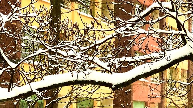 7. Februar 2021. Es schneit! Bleibt gesund!