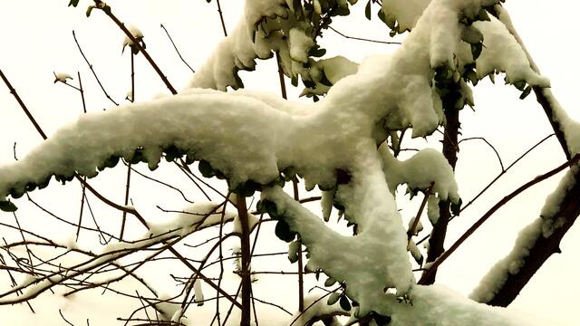 7. Februar 2021. Es schneit! Bleibt gesund!