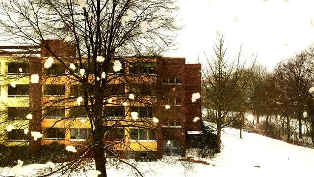 7. Februar 2021. Es schneit! Bleibt gesund!