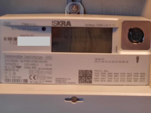 Elektronischer Zähler: Detailbild.