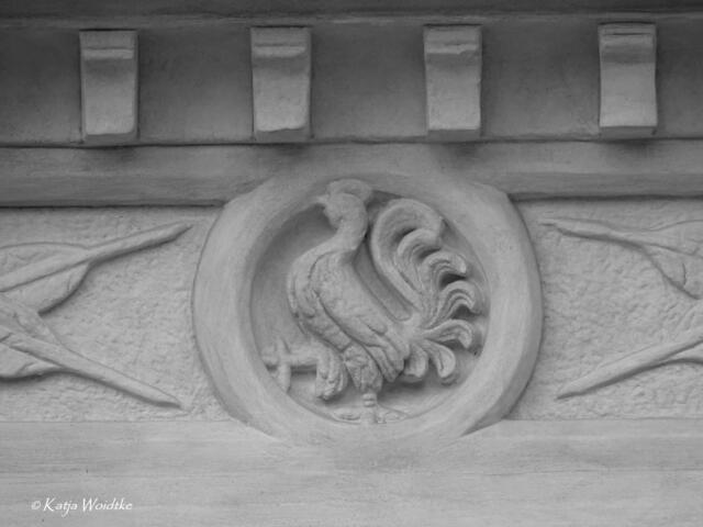 Suchbild aus Hannover (Foto: Katja Woidtke)