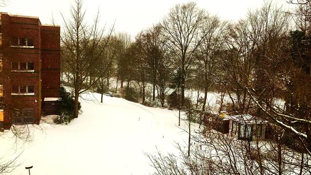 8. Februar 2021. Es schneit weiter! Bleibt gesund!