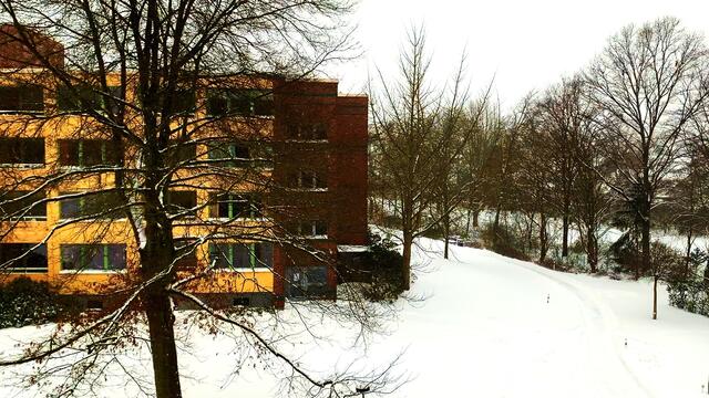 8. Februar 2021. Es schneit weiter! Bleibt gesund!