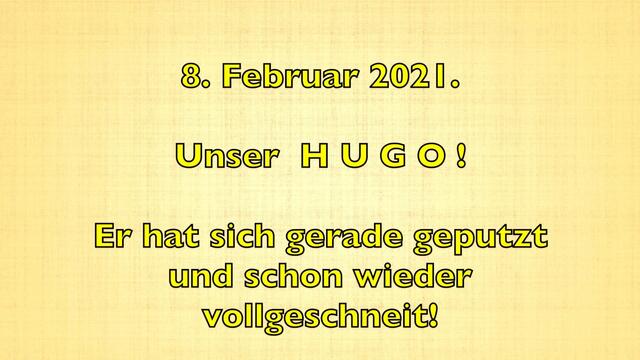 8. Februar 2021. Es schneit weiter! Bleibt gesund!