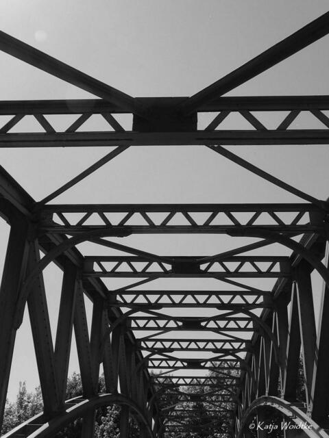 Suchbild aus Hannover (Foto: Katja Woidtke)