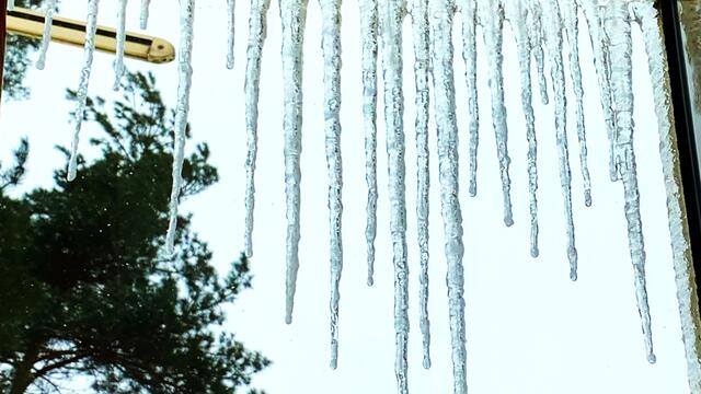 8. Februar 2021. Es schneit weiter! Bleibt gesund!