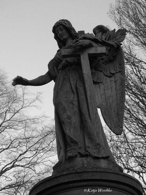 Suchbild aus Hannover (Foto: Katja Woidtke)