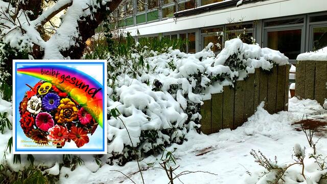 10. Februar 2021. Wir haben unseren O S C A R etwas von den Schneemassen "befreit"! Bleibt gesund!