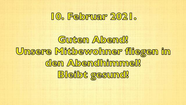 10. Februar 2021. Guten Abend! Unsere Mitbewohner fliegen in den Abendhimmel! Bleibt gesund!.