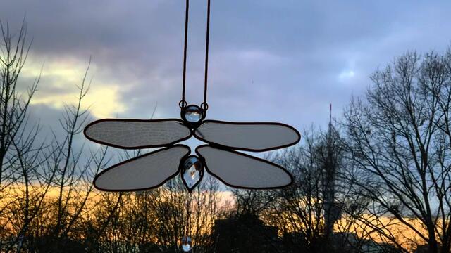 10. Februar 2021. Guten Abend! Unsere Mitbewohner fliegen in den Abendhimmel! Bleibt gesund!.