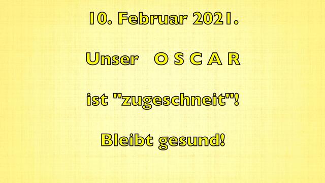10. Februar 2021. Unser O S C A R ist zugeschneit! Bleibt gesund!