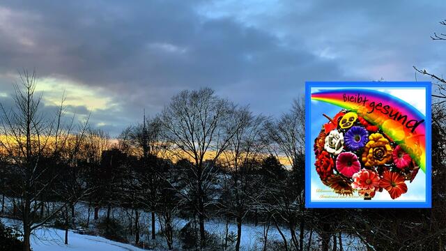 10. Februar 2021. Guten Abend! Unsere Mitbewohner fliegen in den Abendhimmel! Bleibt gesund!.