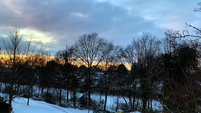 10. Februar 2021. Guten Abend! Unsere Mitbewohner fliegen in den Abendhimmel! Bleibt gesund!.