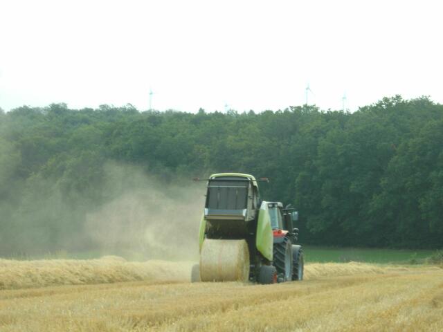 KLAPPE AUF UND RUNDBALLEN ROLLT.