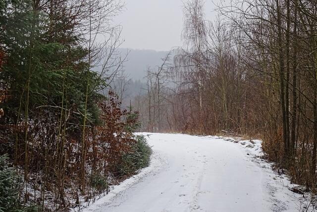 dieser Forstweg  führt ins Leinetal