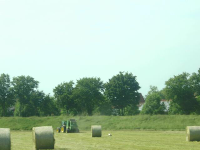 Ein Storch bei der Ernte zu sehen.