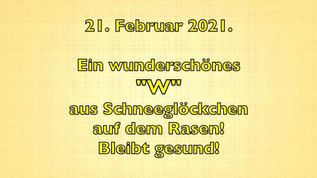 21. Februar 2021. Ein wunderschönes "W" aus Schneeglöckchen auf dem Rasen! Bleibt gesund!