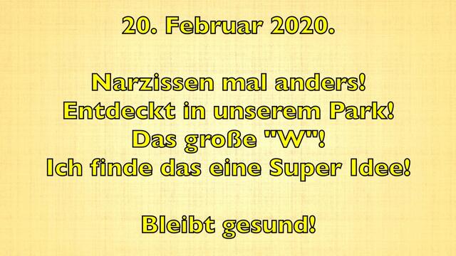 20.02.2020. Narzissen mal anders!  Entdeckt in unserem Park!
Das große "W"!  Ich finde das eine Super Idee!