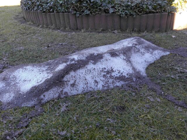 . . . kaum ist der letzte Schnee im Garten abgetaut . . .