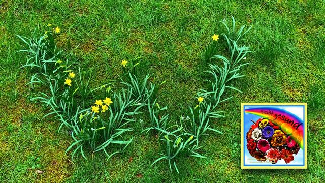 20.02.2020. Narzissen mal anders!  Entdeckt in unserem Park!
Das große "W"!  Ich finde das eine Super Idee!