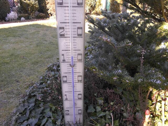 . . .Sonntag, 21.Februar 2021, +13°C, die Sonne scheint, kaum ist der letzte Schnee abgetaut . . .
