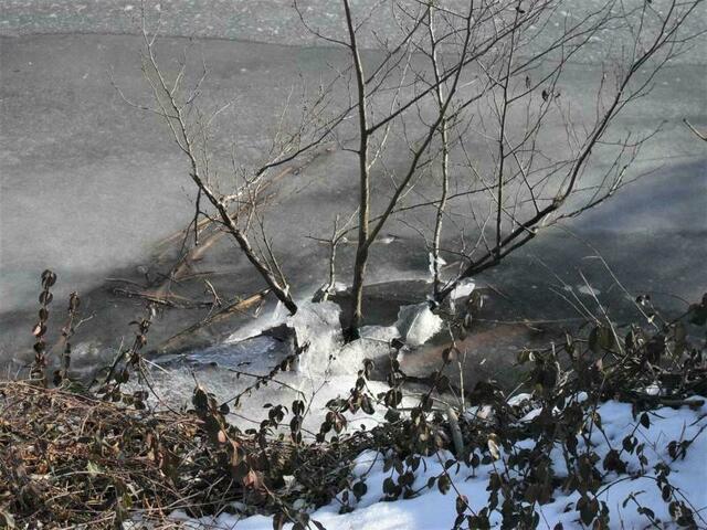 Foto: Marianne G.
