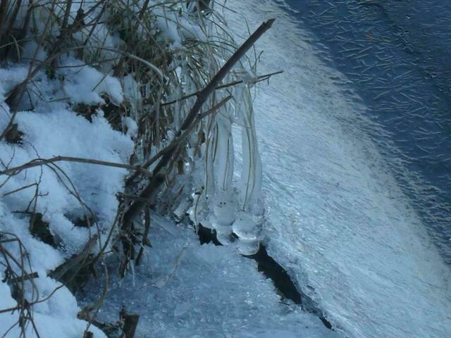 Foto: Marianne G.