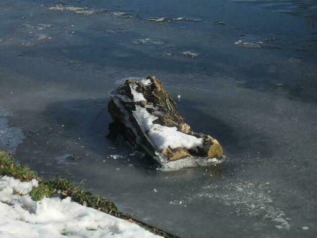 Foto: Marianne G.