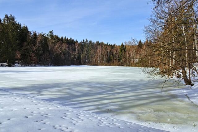 der Bergrats - Müller - Teich