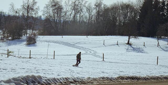 an der Friedrichsbrunner Runde (Loipe)