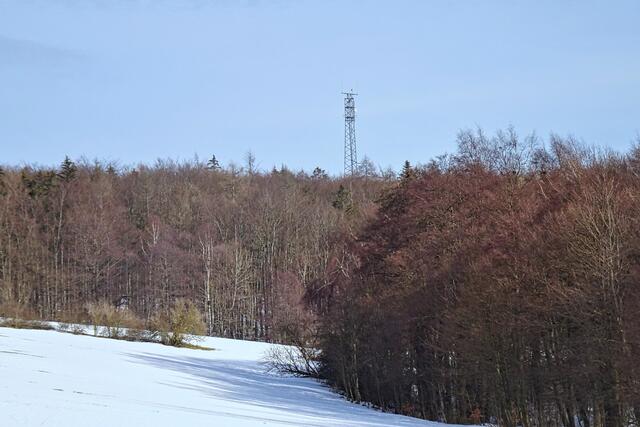 Blick von Friedrichsbrunn (Infang) auf den Sendemasten Ramberg
