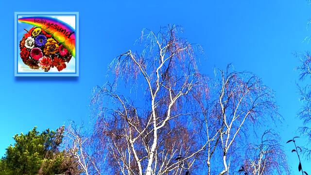 25. Februar 2021. Musikanten in unserem Park. Bleibt gesund!