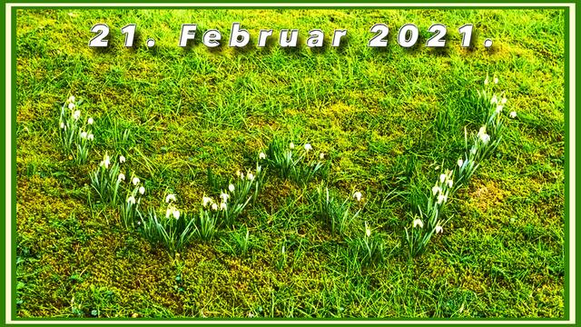 21. Februar 2021. Ein wunderschönes "W" aus Schneeglöckchen auf dem Rasen! Bleibt gesund!