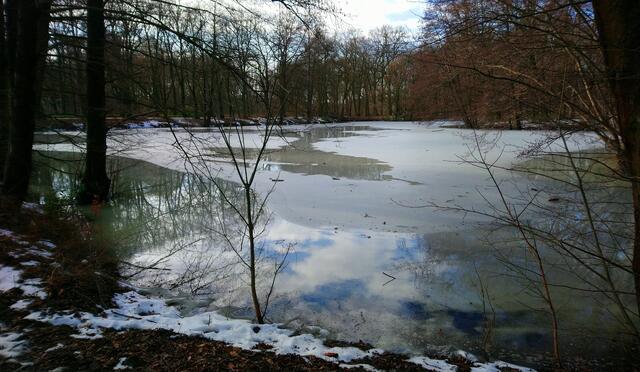 Die Eisdecke ist hier sehr dünn.