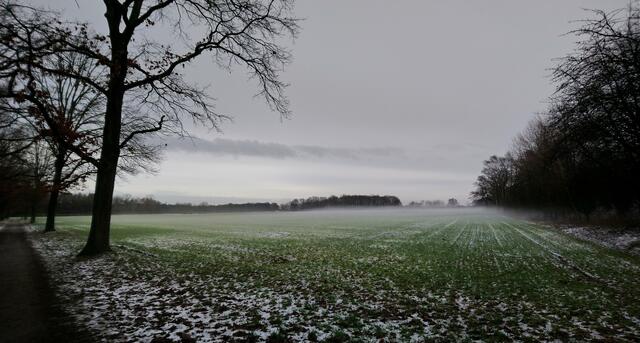Es gab einige wärmere Tage, so dass Tauwetter einsetzte. Es bildete sich Bodennebel.